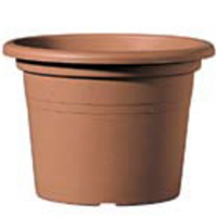  .   d35  9BA40SZ