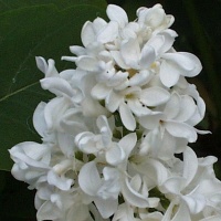    '