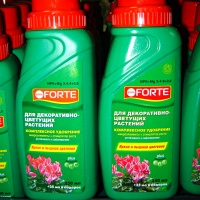   - Bona Forte 250 