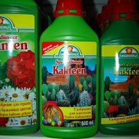      GreenWorld 6204 500