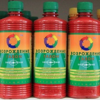   2005  0,5 