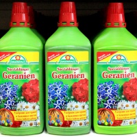       GreenWorld 6260 1
